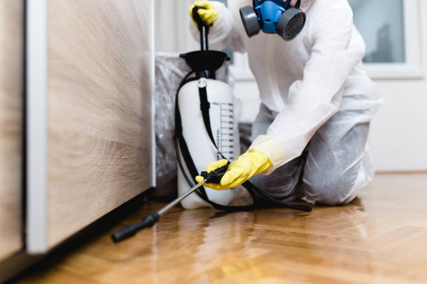 Best Pest Prevention Services  in Breese, IL