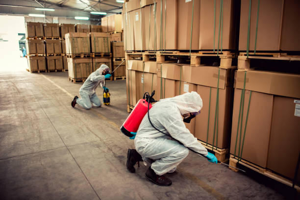 Best Pest Control Cost  in Breese, IL