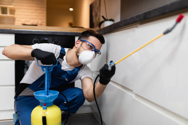 Best Mosquito Control Services  in Breese, IL