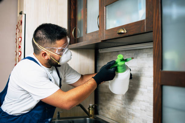 Best Exterminator Services  in Breese, IL