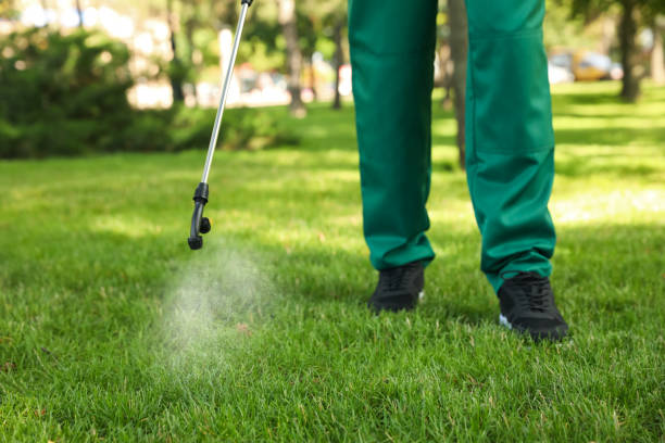 Best Pest Removal Services  in Breese, IL