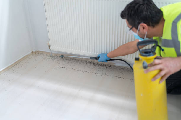Best Pest Inspection Near Me  in Breese, IL