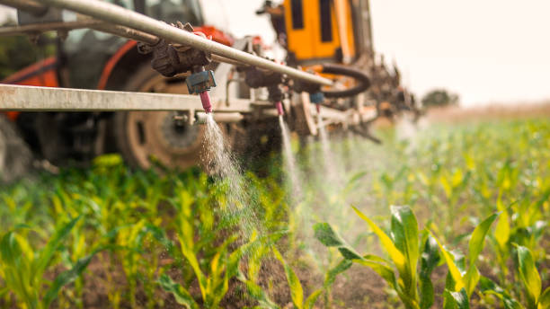 Pest Control Cost in Breese, IL